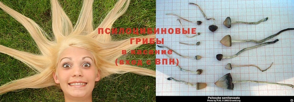 гашиш Алзамай
