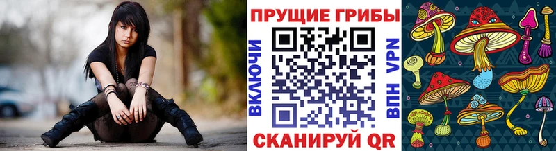 Галлюциногенные грибы GOLDEN TEACHER  наркотики  Сургут 